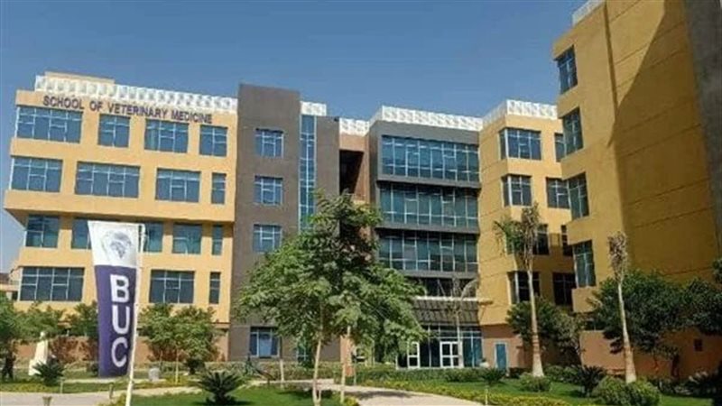 طالبة بجامعة بدر