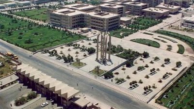 دكتورة بجامعة حلوان تتهم سائق نقل ذكي بتعنيفها  