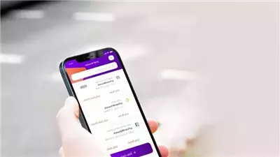 الأهلي فون كاش وإنستا باي يختلفان في مصدر الأموال  