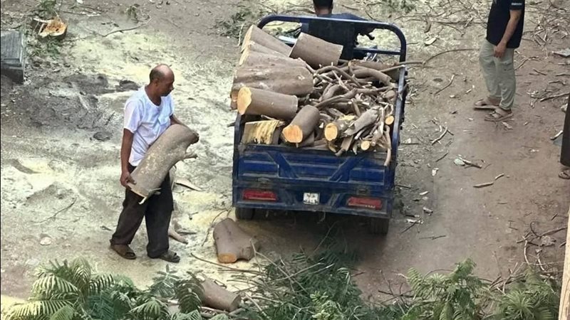 مصدر بالجيزة: لا