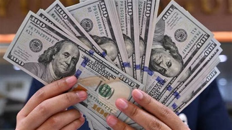 استقرار سعر الدولار