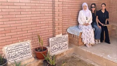 شمس البارودي 