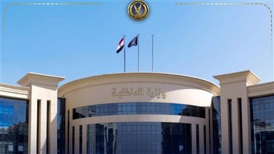 فيديو ميكروباص البحيرة ينتهي بضبط متهم  