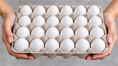 وزارة الزراعة تطرح بيض المائدة بتخفيضات تصل إلى 25%  