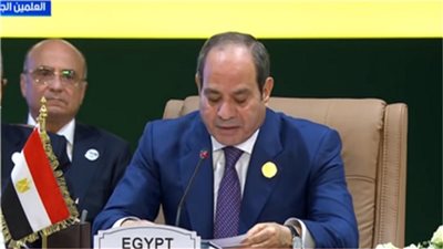الرئيس السيسي 