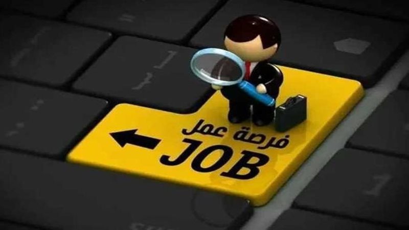 وظائف هيئة قضايا