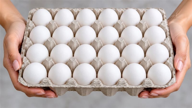 وزارة الزراعة تطرح