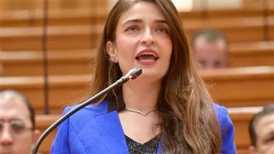 إيرين سعيد تسأل الحكومة عن بحث الدخل والإنفاق 