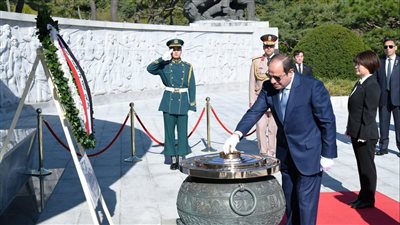 الرئيس السيسي 