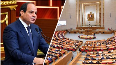مجلس النواب يحذف المادة 25 من قانون جامعة كيان نهائيًا 