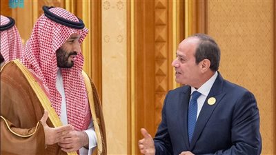 مصر تعلن تضامنها الكامل مع السعودية. 