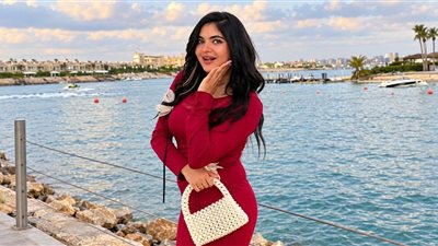 بلاغ ضد سوزي الأردنية بسبب فيديو داخل طائرة واتهامات بخدش الحياء