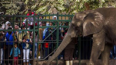 بالاسعار اعرف ارخص اماكن الخروج في اجازة عيد الفطر المبارك