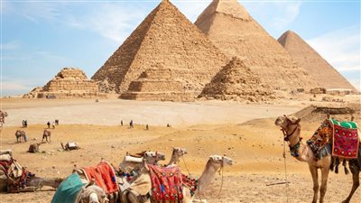 تصل الي 1600 جنيه للتذكرة قفزة غير مسبوقة بنسبة 100 بالمائة في اسعار دخول الاماكن الاثرية