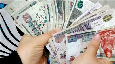 بصورة بطاقتك اعرف بالخطوات ليك حق في منحة الحكومه الشهريه الجديدة ولا لا