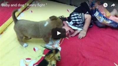 بالفيديو.. «خناقة» بين كلب وطفل صغير على لعبة ونهاية غير متوقعة