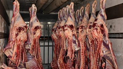 مفاجأة هتسعد الملايين بشأن أسعار اللحوم اليوم