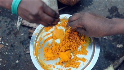 نبات سحري يستخدم كدواء لأمراض عديدة