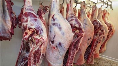 أقل من 200 جنيه بشرى سارة من التموين عن سعر كيلو اللحوم قبل عيد الاضحى