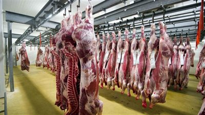 2 كيلو لكل مواطن التموين تطرح لحوم جديدة بهذه الأماكن