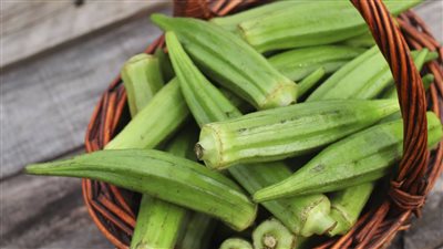 الاكلة المفضلة لدى المصريين اعرفي طريقة تحضير البامية الويكا