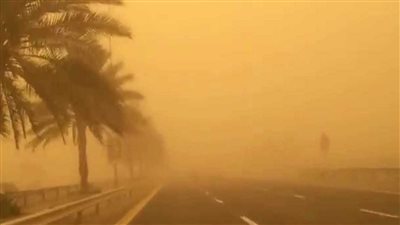 مشاهد عجيبة فى القاهرة هذا ما فعلته العاصفة اليوم