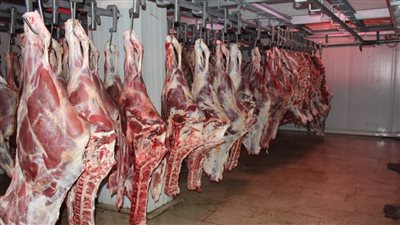 أنتبه قبل الشراء علامات لكشف فساد اللحوم بالأسواق