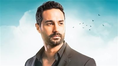 بعد اعتزالها التمثيل وشعورها بالظلم كريم فهمي يدافع عن ميرهان حسين