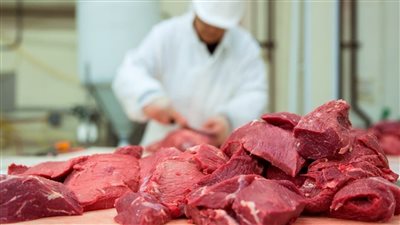 1000 جنيه طاجن الفتة باللحمة الضاني نقيب الفلاحين يصدم عشاق اللحوم