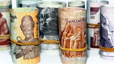 خبير اقتصادي يكشف عن ميزة مهمة فى انخفاض قيمة الجنيه