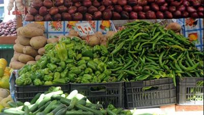 ب 5 جنية يا طماطم انخفاض في أسعار الخضروات اليوم