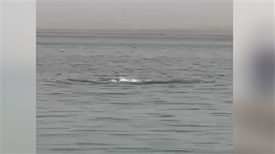 رسميا غلق الشواطئ وحظر جميع الانشطه من الجونه وحتي خليج ابو سومة