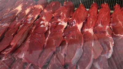 قرار جديد من وزير التموين بشأن استيراد لحوم