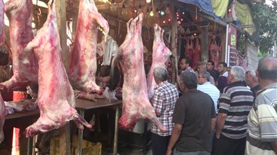 80 جنيه زيادة جديدة فى أسعار اللحوم في محلات الجزارة