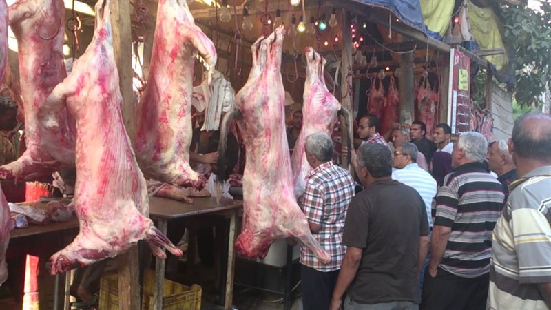الحق والضلال