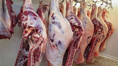 بشرى سارة للمواطنين عن أسعار اللحوم في عيد الأضحى