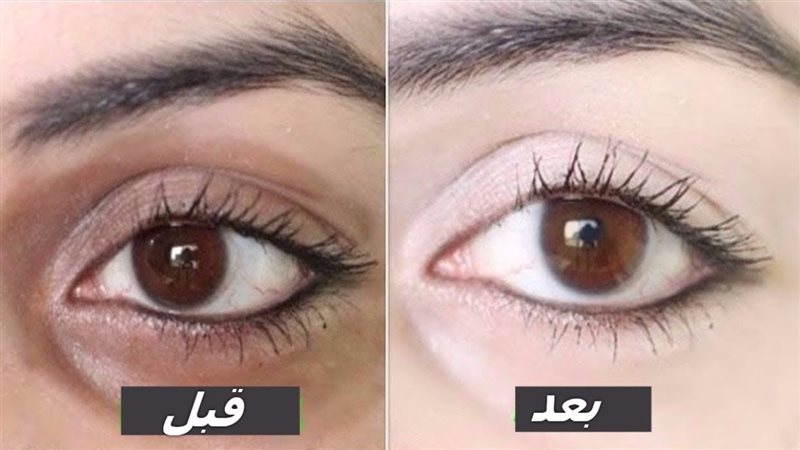 الحق والضلال