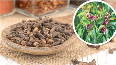 الكنز السحري للتخلص من وجع الأسنان فورا