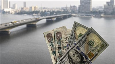 بأمر الرئيس مصر تتخذ خطوات عاجلة بشأن سعر الجنيه مقابل الدولار