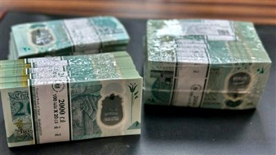 أحذر من عقوبة رفض التعامل بـ الـ 20 جنيها البلاستيكية الجديدة