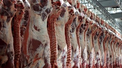 تعرض الجزارين وبائعي اللحوم إلى الحبس والغرامة في عيد الاضحي اعرف الاسباب