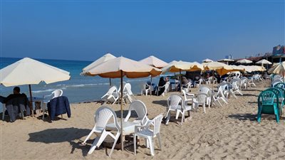 ظهور كائن غريب علي شواطئ الاسكندرية يثير حالة من الرعب