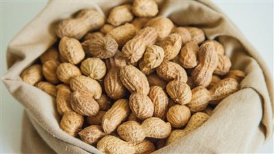 أهم الفوائد الصحية التي يحملها الفول السوداني للجسم