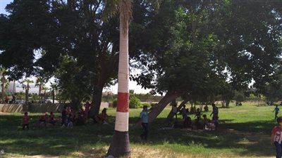 بـ2 جنيه اعرف إزاى تقضى إجازتك خلال عيد الأضحى