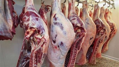 اعرف الأماكن انخفاض كبير في أسعار اللحوم قبل ساعات من العيد