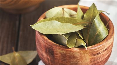 مش للأكل بس ورق اللورا له تأثير سحري على كل من في المنزل