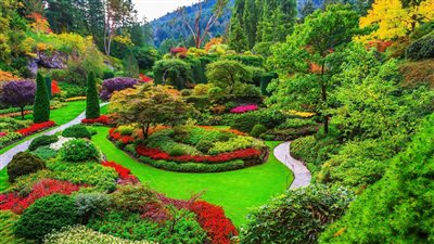 الحق اللي باقي من الاجازة وأخرج افضل 3 حدائق للخروجات والنزهة مع العائلة والاصدقاء