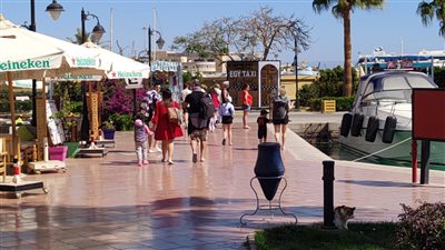 بالكراسي خناقة شوارع بأحد فنادق الغردقة