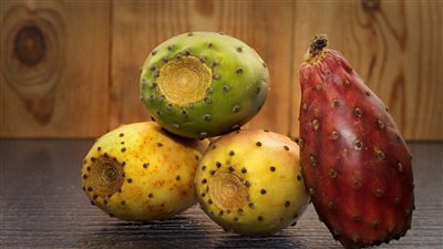 زيته يصل إلى 1000 دولار تعرف على الفوائد الصحية للتين الشوكي