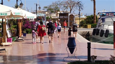 حقيقة مشاجرة بأحد فنادق الغردقة نتيجة تقديم لحوم حمير للنزلاء